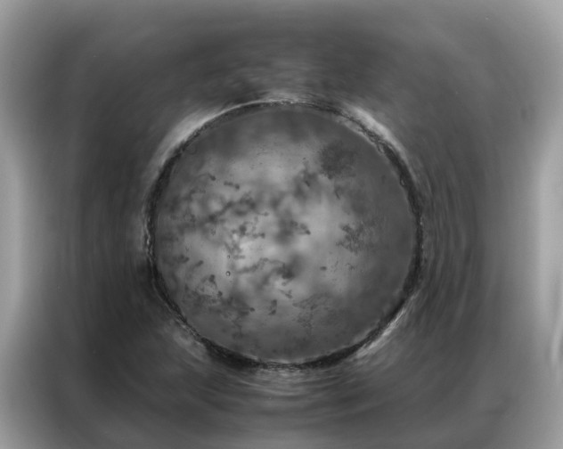 X0000087371215200704271449