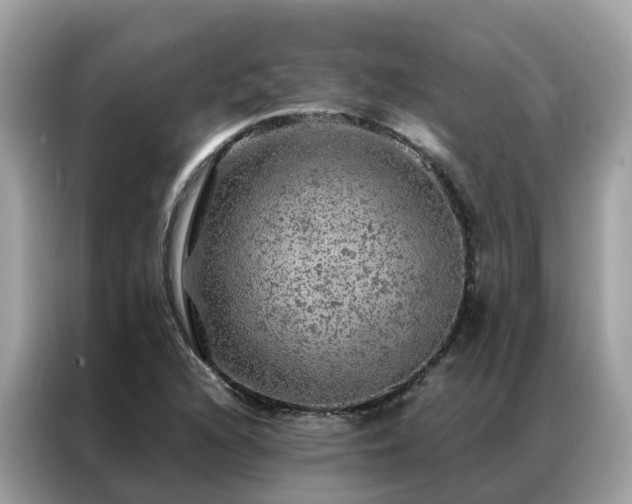 X0000087371216200704271449