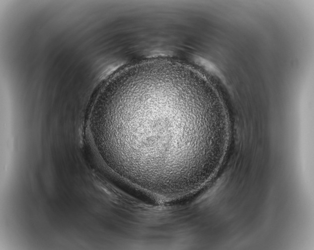 X0000087371217200704271449