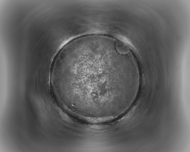 X0000087371220200704271449