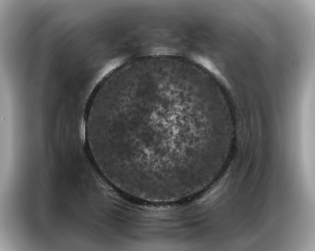 X0000087371221200704271449