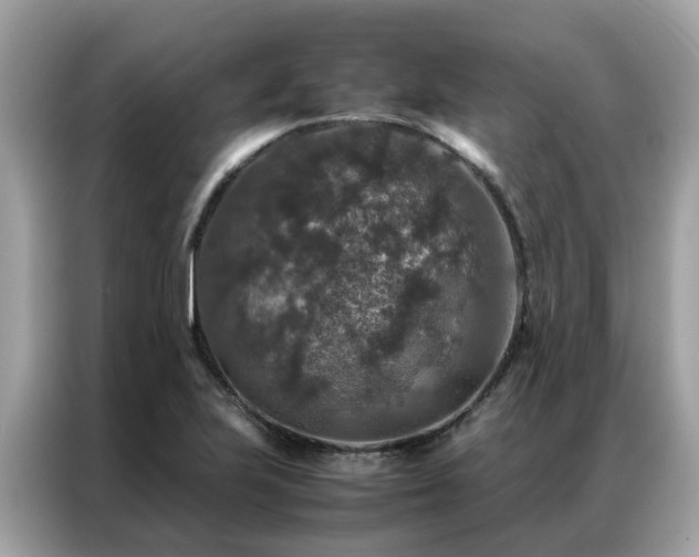 X0000087371223200704271449