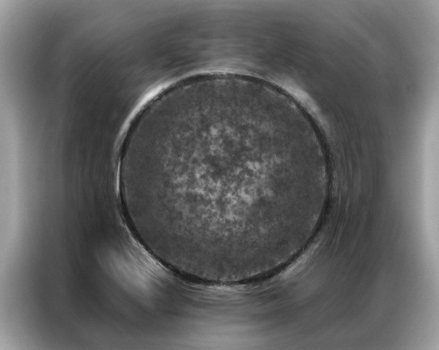 X0000087371224200704271449