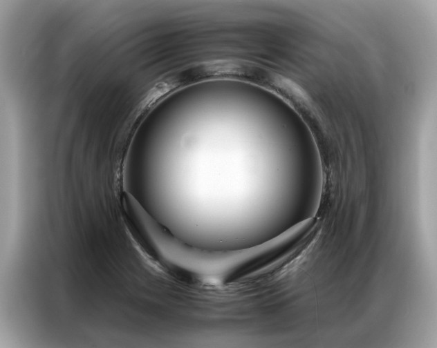 X0000087371225200704271449