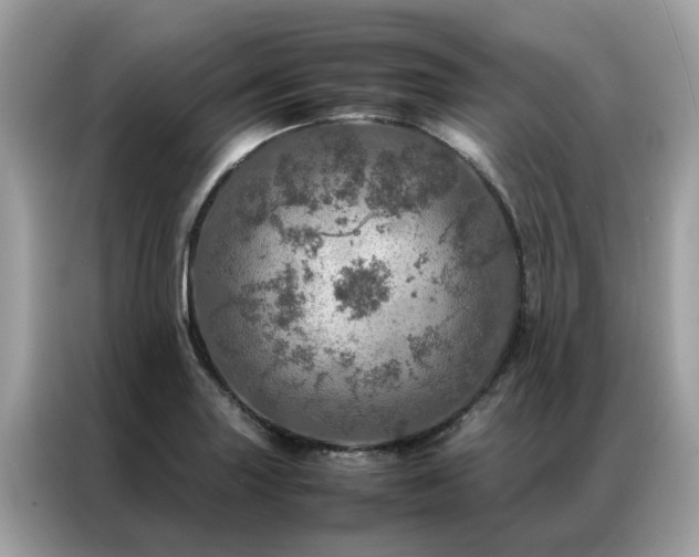 X0000087371227200704271449