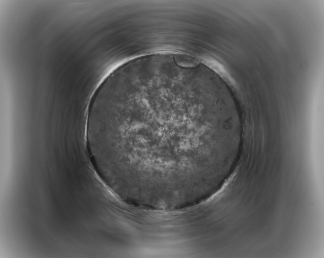 X0000087371228200704271449