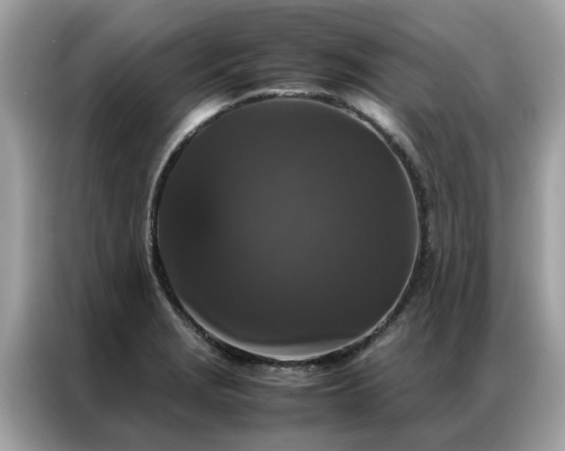 X0000087371229200704271449