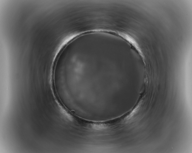 X0000087371231200704271449