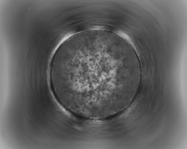 X0000087371235200704271449