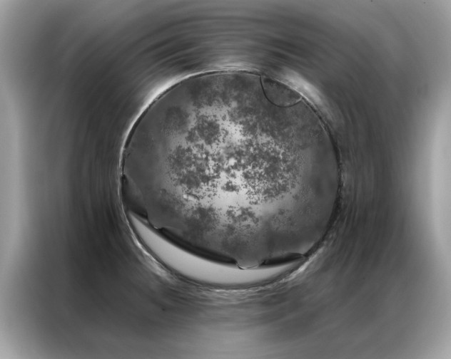 X0000087371236200704271449