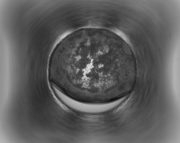 X0000087371237200704271449