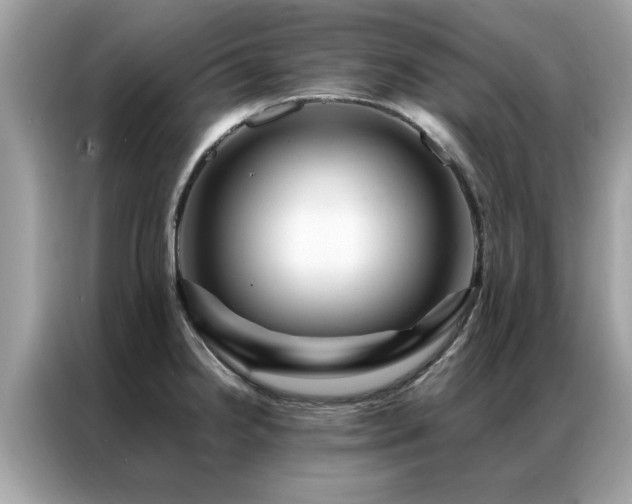 X0000087371238200704271449