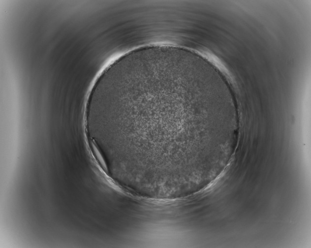 X0000087371240200704271449