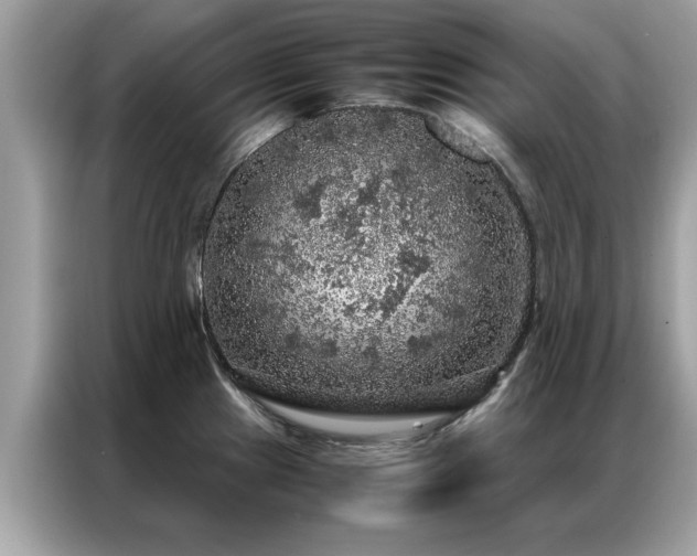 X0000087371241200704271449