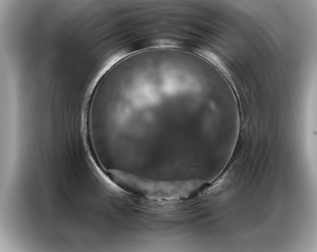 X0000087371243200704271449