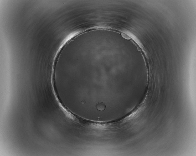 X0000087371245200704271449