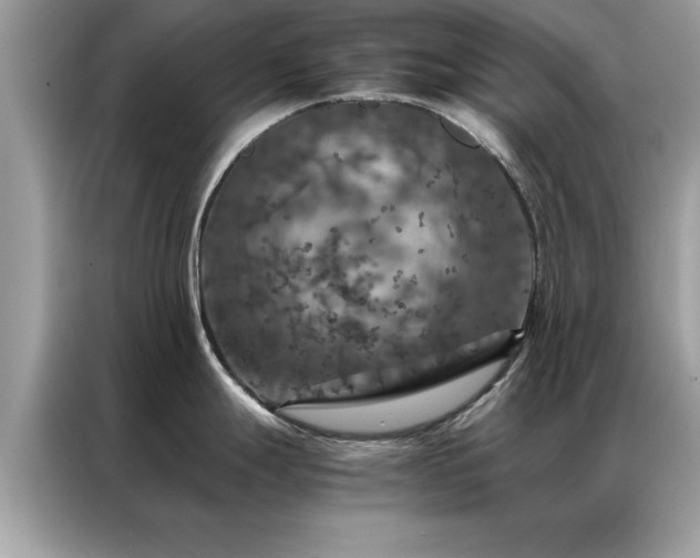 X0000087371247200704271449