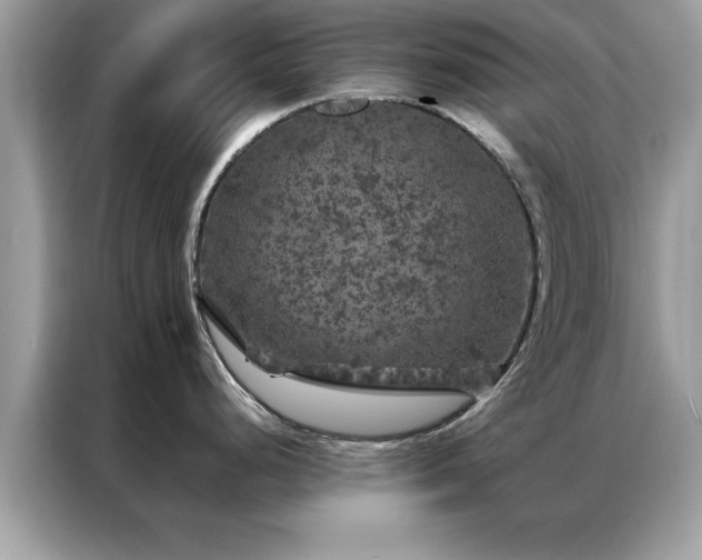 X0000087371248200704271449