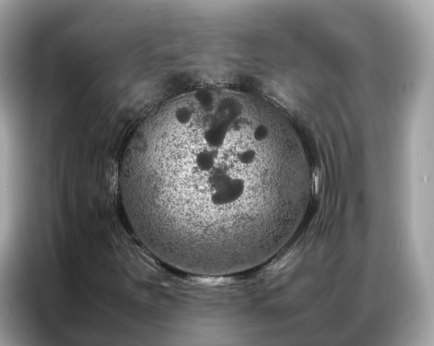 X0000087371251200704271449
