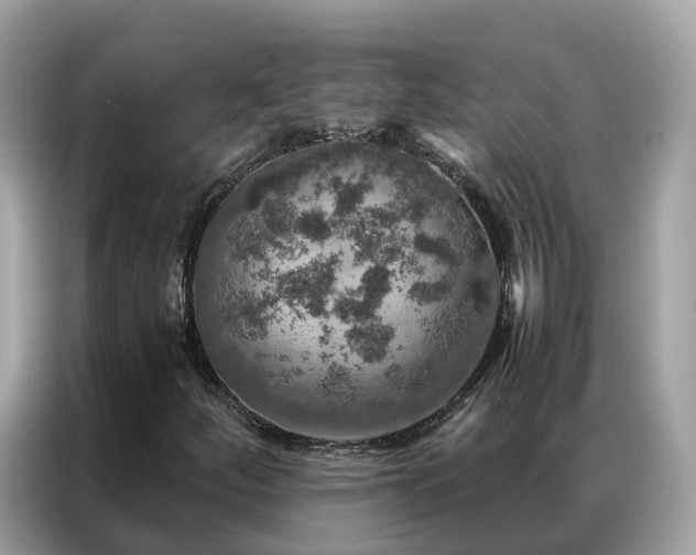 X0000087371252200704271449