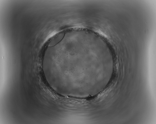 X0000087371255200704271449