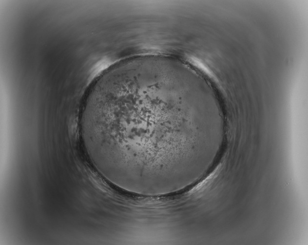 X0000087371259200704271449