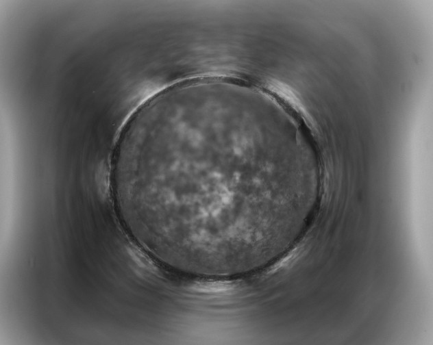 X0000087371260200704271449