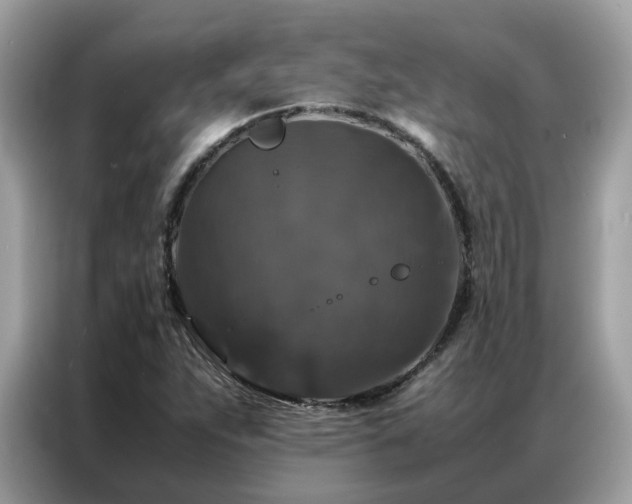 X0000087371263200704271448