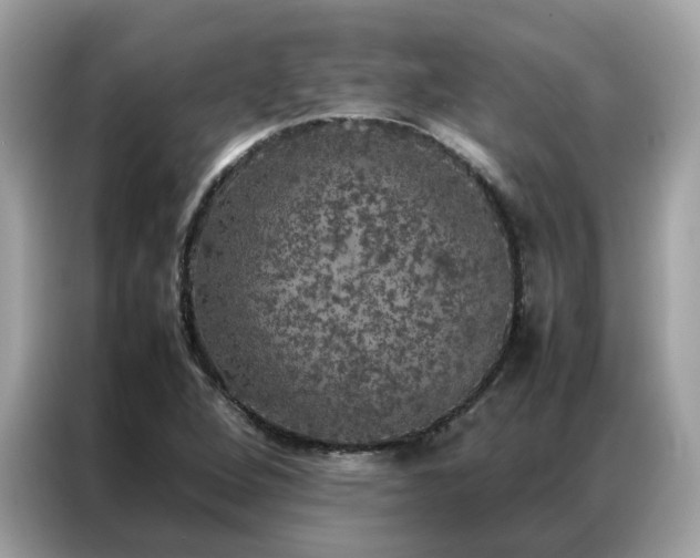 X0000087371264200704271448