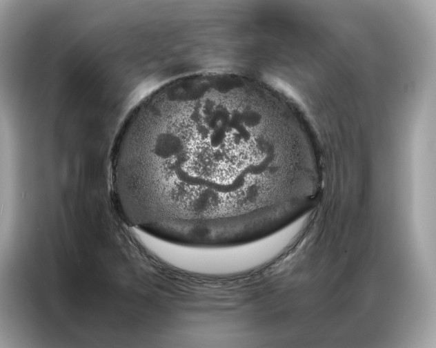 X0000087371267200704271448