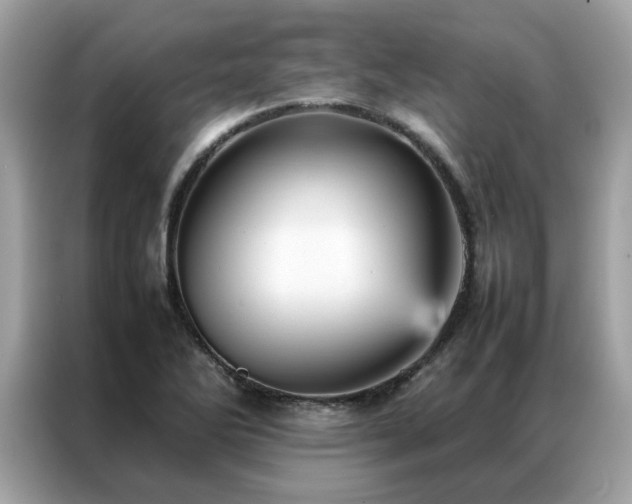 X0000087371270200704271448