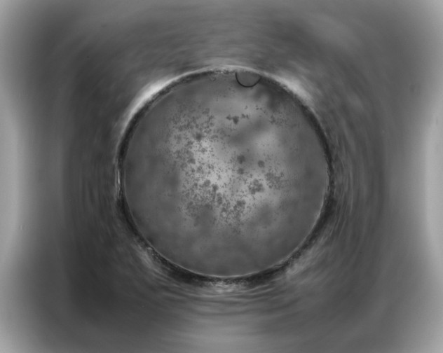 X0000087371271200704271448