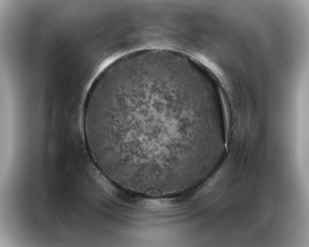 X0000087371272200704271448
