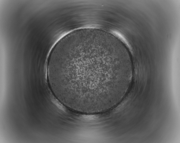 X0000087371276200704271448