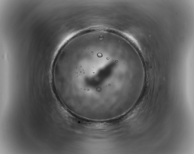 X0000087371279200704271448
