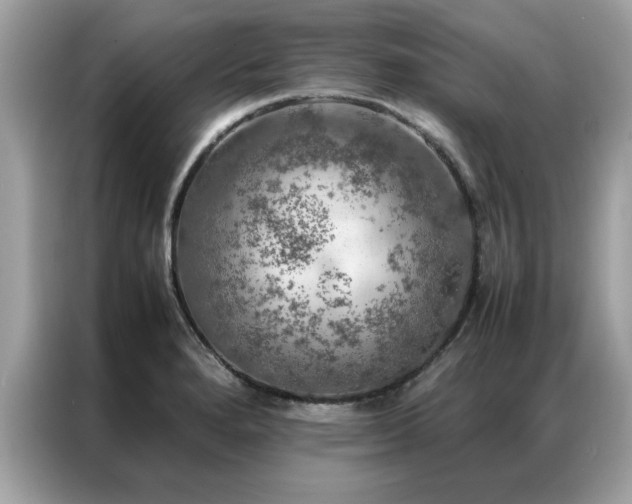 X0000087371280200704271448