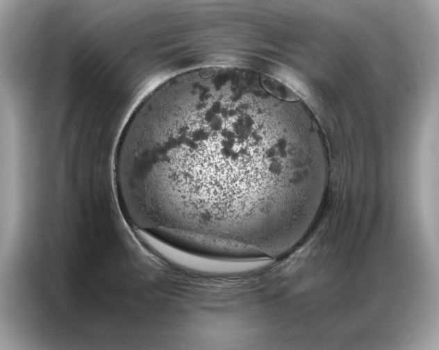 X0000087371283200704271448