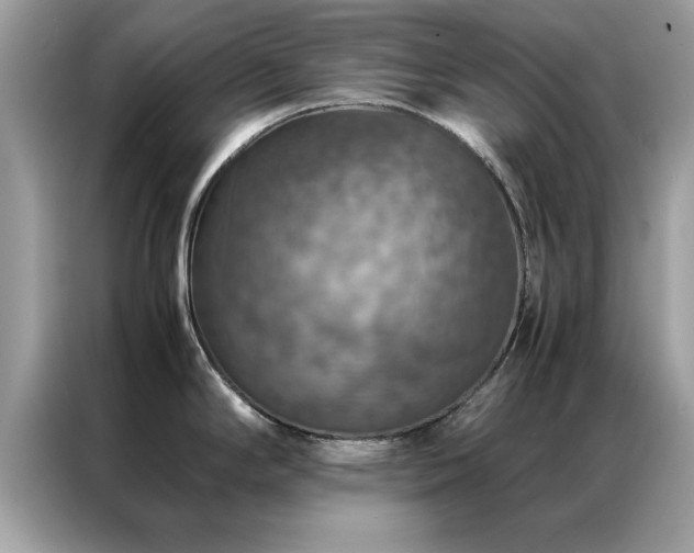 X0000087371294200704271448