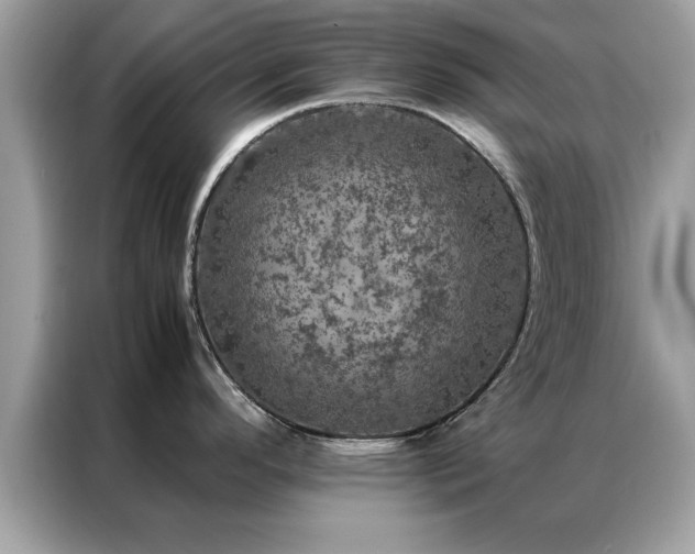 X0000087371296200704271448