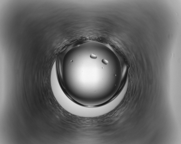 X0000087371298200704271448
