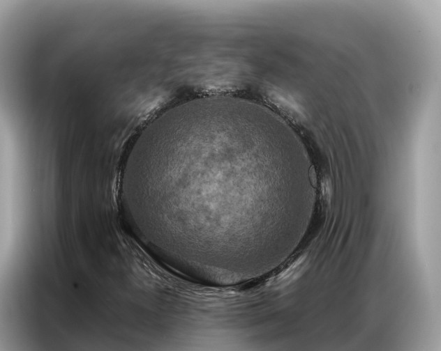 X0000087371300200704271448