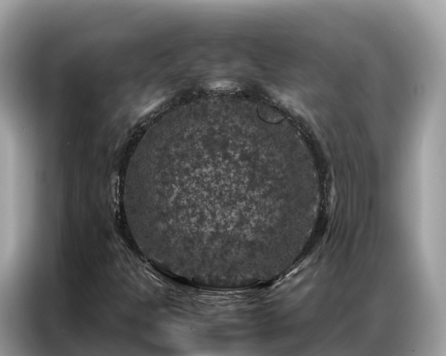 X0000087371301200704271448