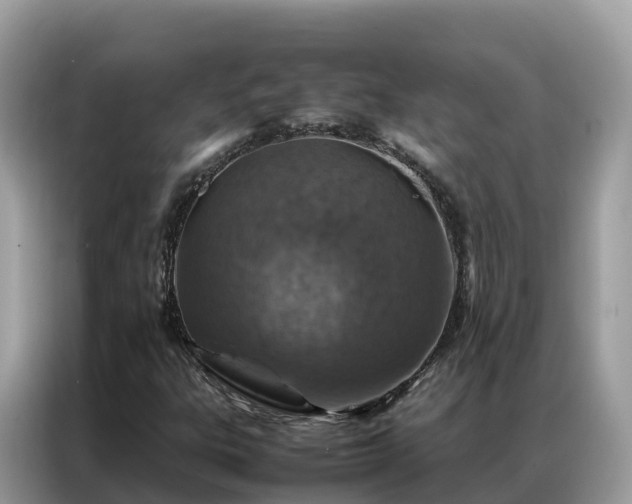 X0000087371303200704271448