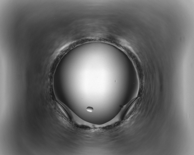 X0000087371304200704271448