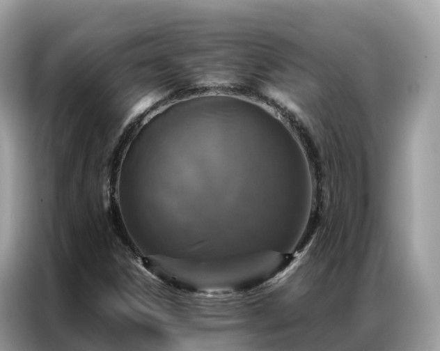 X0000087371306200704271448