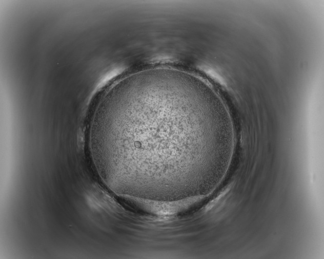 X0000087371309200704271448