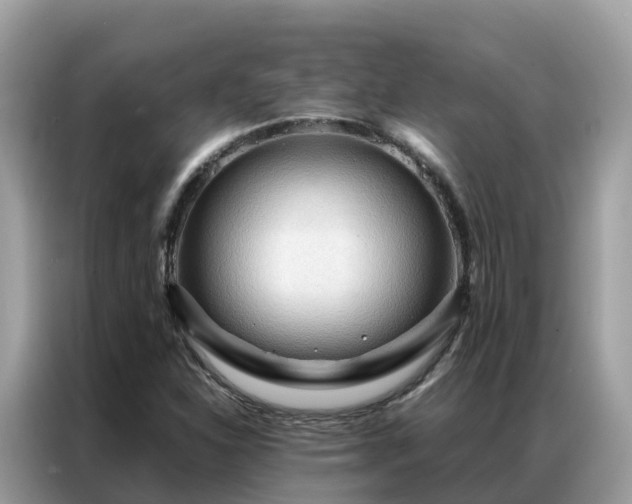 X0000087371310200704271448