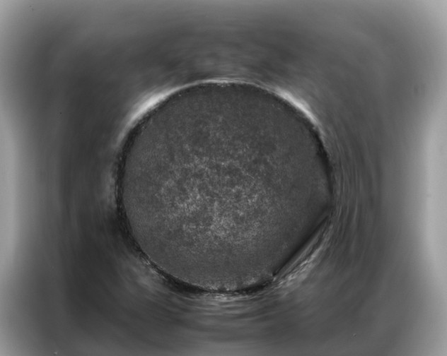 X0000087371311200704271448