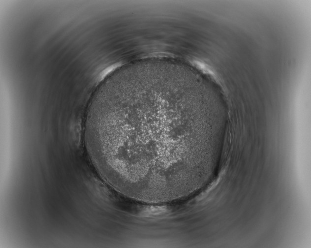 X0000087371313200704271448