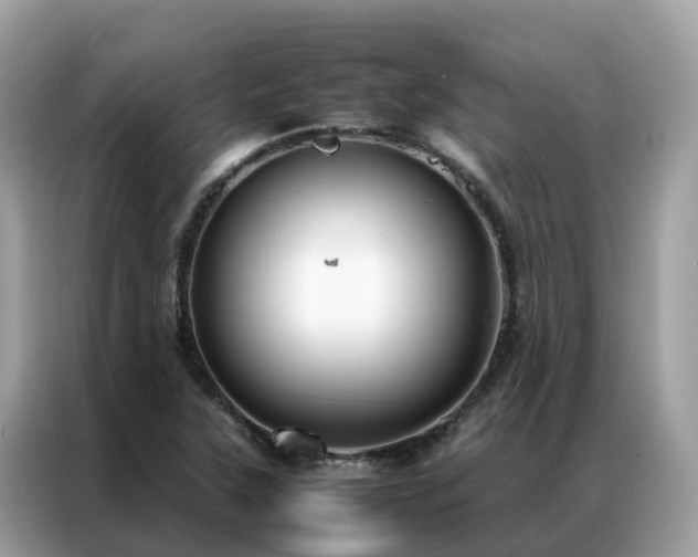 X0000087371315200704271448